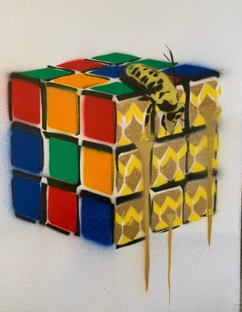 Rubix cube